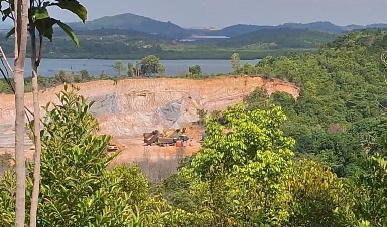 ketika-perusahaan-properti-di-batam-jadi-tersangka-perusak-hutan