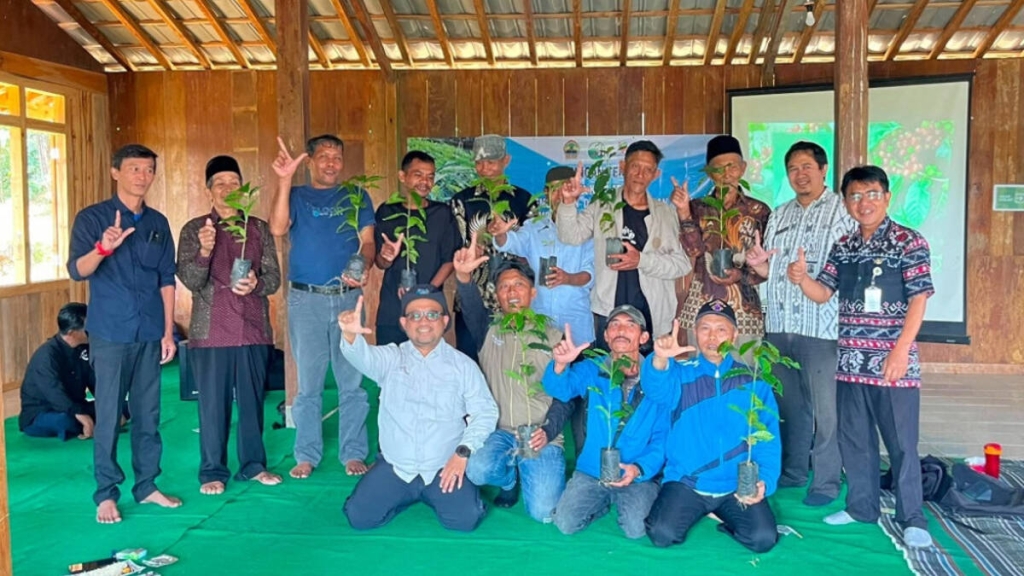 kopi-tombo-kembali-dikembangkan,-warga-jaga-warisan-kebun-kopi-dan-hutan
