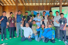kopi-tombo-kembali-dikembangkan,-warga-jaga-warisan-kebun-kopi-dan-hutan