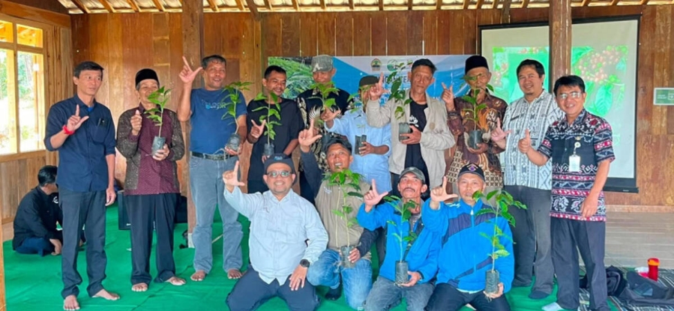 kopi-tombo-kembali-dikembangkan,-warga-jaga-warisan-kebun-kopi-dan-hutan