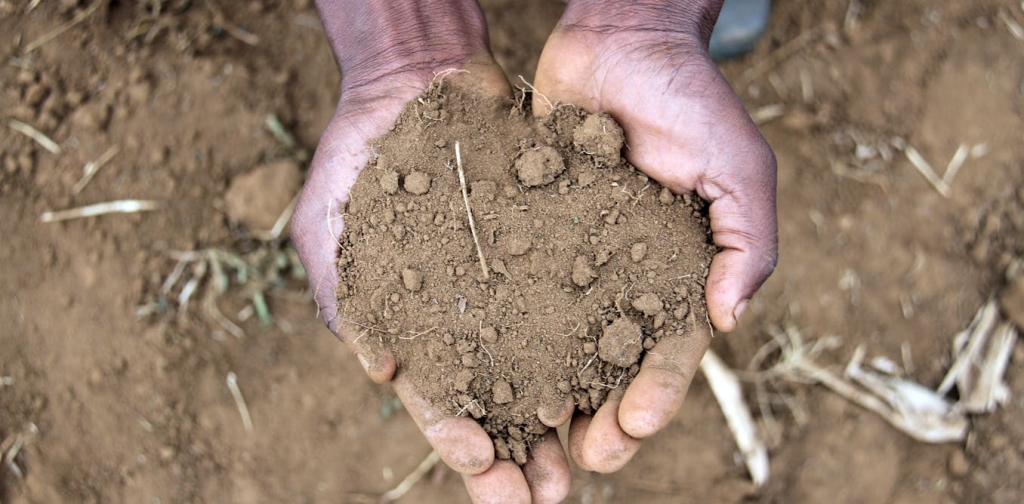 the-soil’s-early-warning-system:-microbes-can-predict-desertification-before-plants-start-to-die