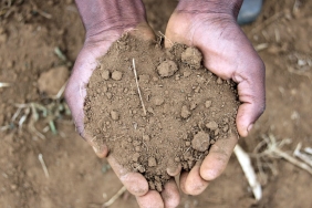 the-soil’s-early-warning-system:-microbes-can-predict-desertification-before-plants-start-to-die