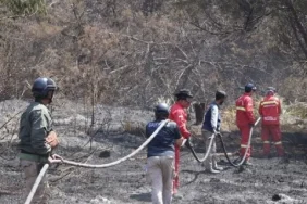 usai-13-hari-terbakar,-menhut-umumkan-gunung-bromo-dibuka-kembali-20-agustus