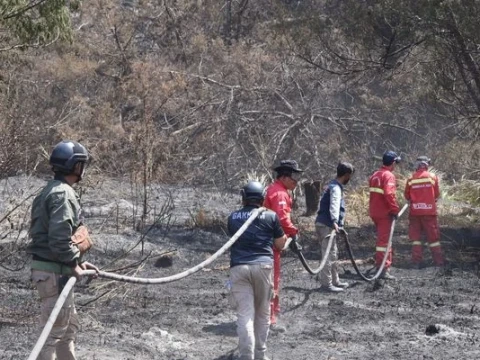 usai-13-hari-terbakar,-menhut-umumkan-gunung-bromo-dibuka-kembali-20-agustus