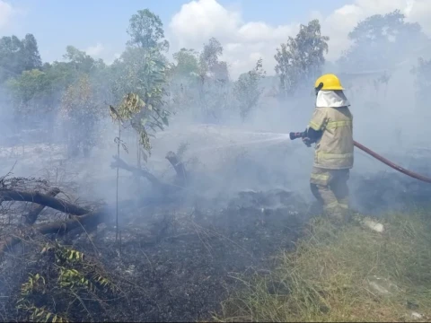 kebakaran-hutan-kembali-terjadi-di-bangka-belitung,-jawa-tengah,-jawa-timur
