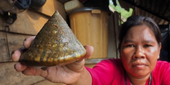 laut-tak-lagi-menjanjikan,-nasib-perempuan-bajo-di-pesisir-soropia-kian-terhimpit