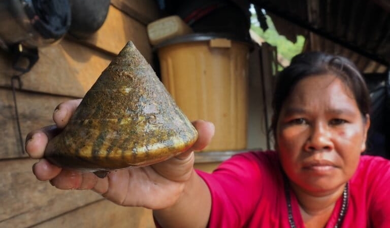 laut-tak-lagi-menjanjikan,-nasib-perempuan-bajo-di-pesisir-soropia-kian-terhimpit