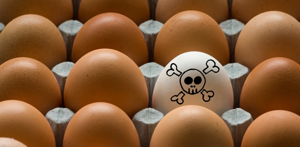 why-does-salmonella-cause-serious-illness-in-some-people-but-not-others?