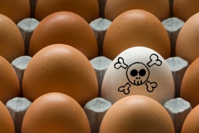 why-does-salmonella-cause-serious-illness-in-some-people-but-not-others?