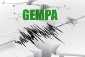 korban-gempa-m7,7-ntt:-70-meninggal-dunia,-1.182-luka-luka,-dan-40-ribu-warga-mengungsi