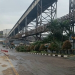 morowali-yang-dulu-tumbuh,-kini-bertumbuh