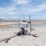 kerang-darah-dan-perubahan-lanskap-pantai-timur-pulau-bangka