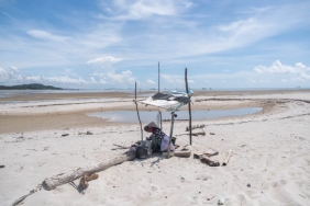 kerang-darah-dan-perubahan-lanskap-pantai-timur-pulau-bangka