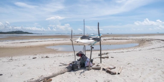 kerang-darah-dan-perubahan-lanskap-pantai-timur-pulau-bangka
