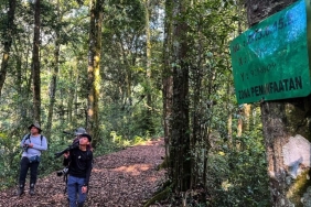 menakar-ekowisata-di-taman-nasional-gede-pangrango