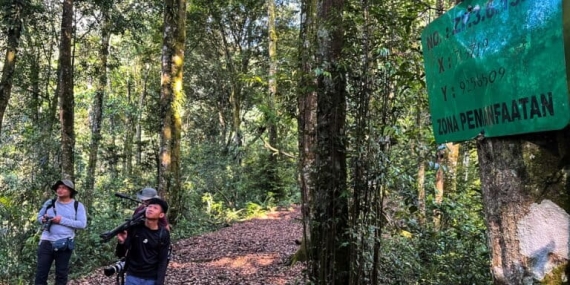 menakar-ekowisata-di-taman-nasional-gede-pangrango