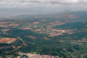 petani-damar-tabarano-waswas-kebun-jadi-tambang-nikel