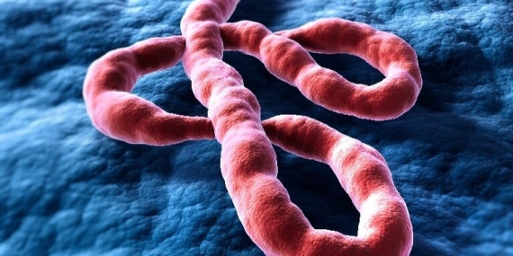 WHO Sambut Baik Alokasi Vaksin Ebola ke Republik Demokratik Kongo