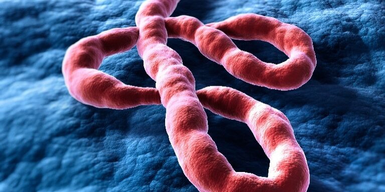 who-sambut-baik-alokasi-vaksin-ebola-ke-republik-demokratik-kongo