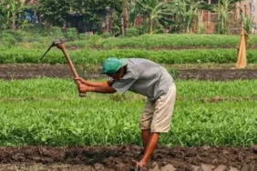 konflik-agraria-dalam-pandangan-fiqih:-bolehkah-pemerintah-mengambil-tanah-rakyat?