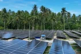 subsidi-energi-bebani-apbn,-plts-atap-dinilai-jadi-solusi