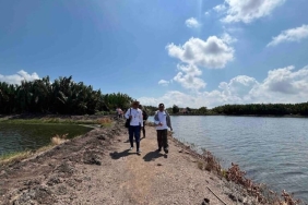 upaya-para-petambak-pulihkan-mangrove-delta-mahakam