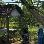 kedok-pengobatan-depresi,-dukun-di-gresik-cabuli-pasien-di-sawah
