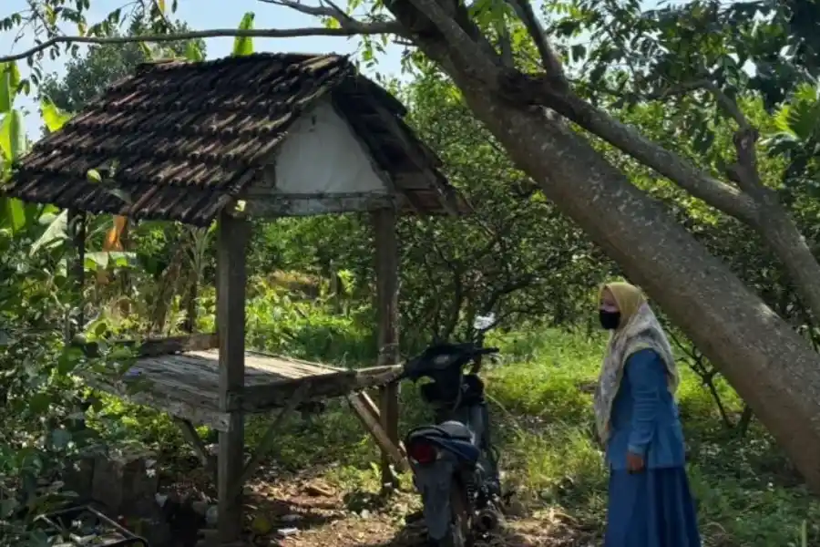 kedok-pengobatan-depresi,-dukun-di-gresik-cabuli-pasien-di-sawah