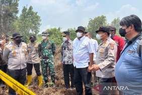 menteri-lh:-85-ribu-hektare-wilayah-konsesi-di-indonesia-terbakar