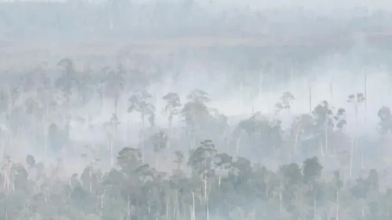 karhutla-kalimantan-makin-buruk,-kabut-asap-ganggu-aktivitas-warga-hingga-lintas-negara