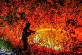 mempertanyakan-keseriusan-pemerintah-antisipasi-kebakaran-hutan-dan-lahan