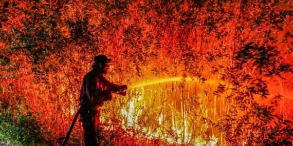 mempertanyakan-keseriusan-pemerintah-antisipasi-kebakaran-hutan-dan-lahan