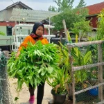 cara-perempuan-wujudkan-ketahanan-pangan-di-pulau-kelapa
