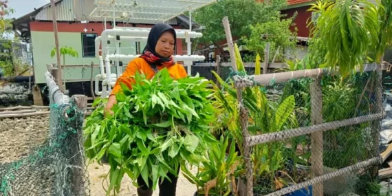 cara-perempuan-wujudkan-ketahanan-pangan-di-pulau-kelapa