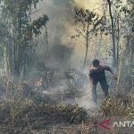bmkg:-1.923-titik-panas-terdeteksi-di-papua-tengah