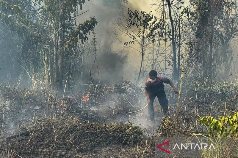bmkg:-1.923-titik-panas-terdeteksi-di-papua-tengah