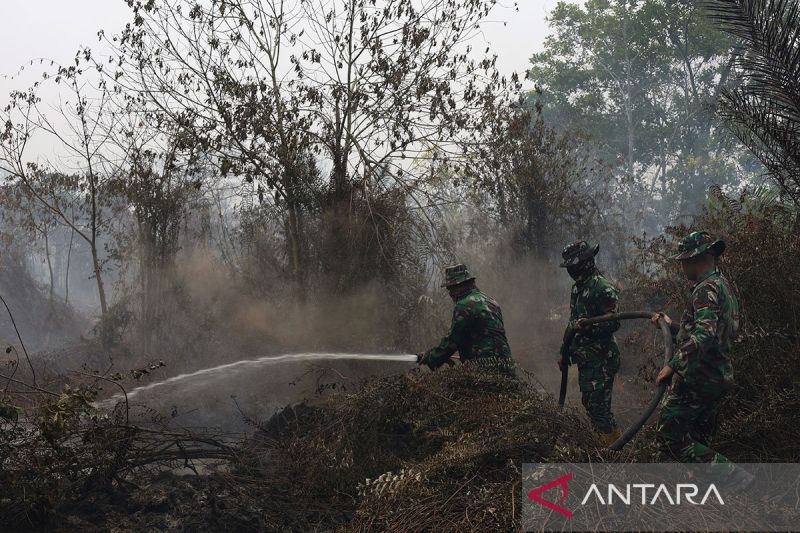bnpb-minta-negara-negara-tidak-saling-menyalahkan-soal-asap-karhutla