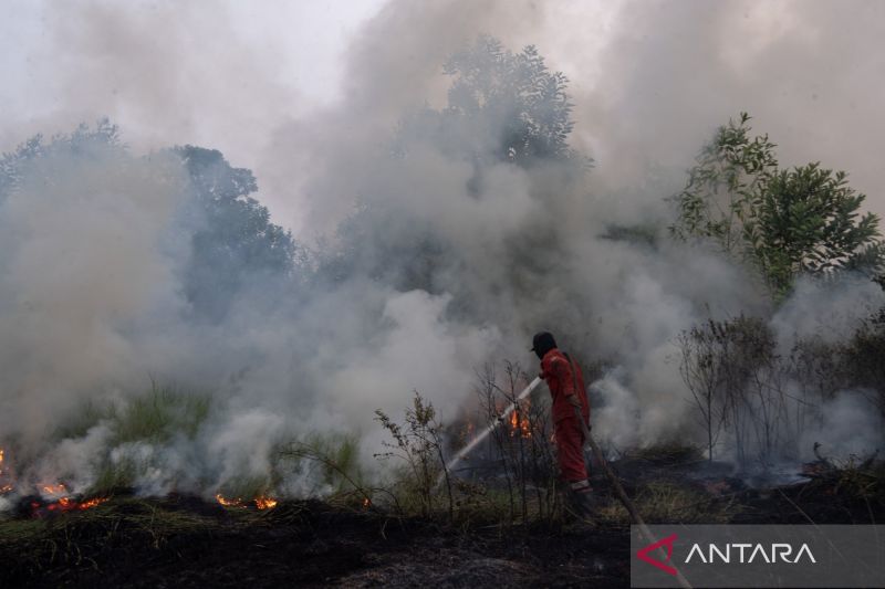polri-tetapkan-72-tersangka-kasus-karhutla-di-sembilan-polda