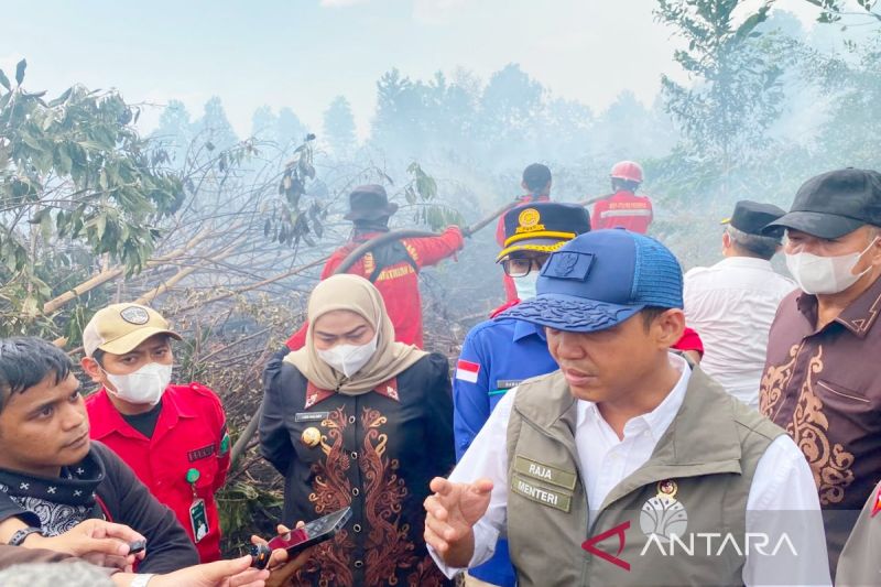 kebakaran-hutan-di-taman-nasional-way-kambas-sudah-padam