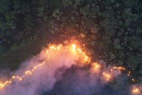 borneo-forest-fires-spike-again:-why-el-nino-isn’t-the-sole-culprit