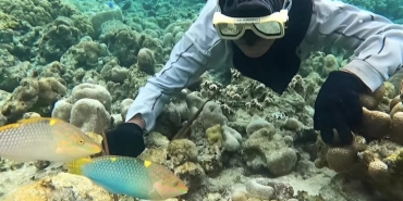 ikan-kakatua,-apakah-ada-hubungannya-dengan-burung-kakatua?