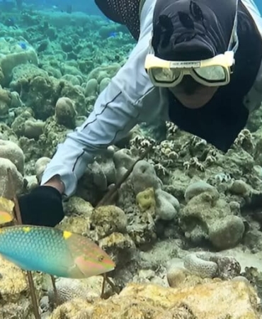 ikan-kakatua,-apakah-ada-hubungannya-dengan-burung-kakatua?