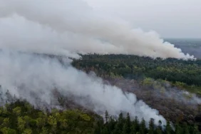 guru-besar-ugm:-karhutla-ancaman-serius,-kuatkan-penjagaan-hutan