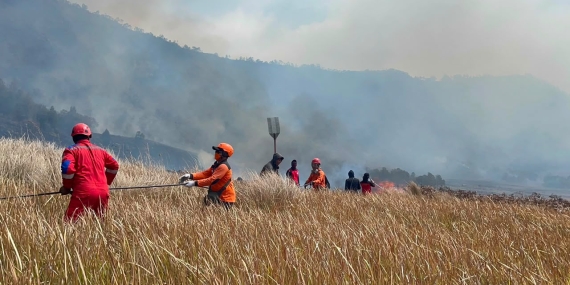 Populasi yang Berisiko Terkena Asap Kebakaran Hutan
