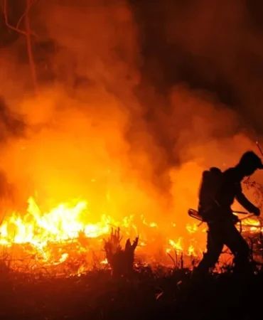 fakta-fakta-dan-dampak-kesehatan-kebakaran-hutan-global