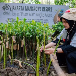 prudential-indonesia-tambah-5.500-mangrove,-perkuat-benteng-alami-pesisir-jakarta