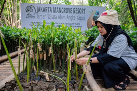prudential-indonesia-tambah-5.500-mangrove,-perkuat-benteng-alami-pesisir-jakarta