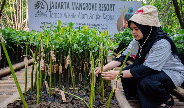 prudential-indonesia-tambah-5.500-mangrove,-perkuat-benteng-alami-pesisir-jakarta