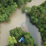 deforestasi-ternyata-bisa-ditekan-dengan-peran-lembaga-keuangan,-apa-yang-harus-dilakukan?