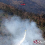 bpbd-jatim-masifkan-“water-bombing”-guna-tangani-karhutla-arjuno